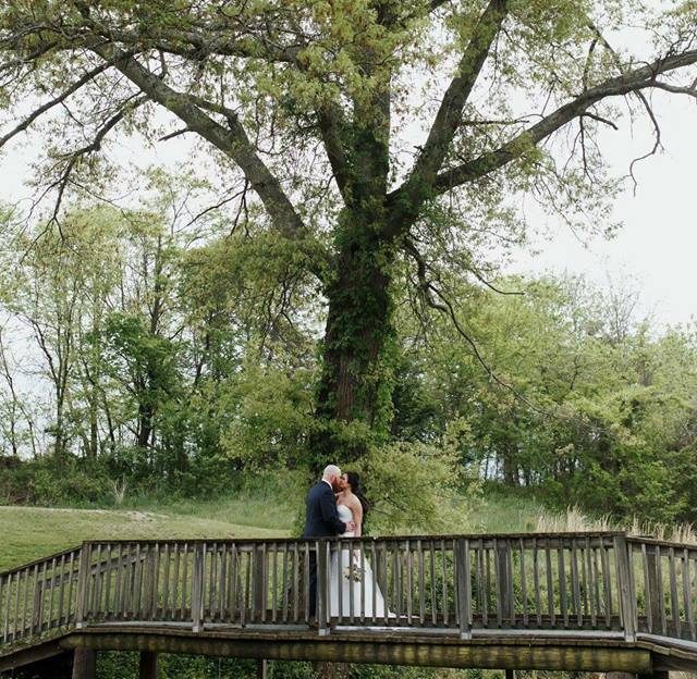 Bride and groom kissing on a wooden bridge with a giant tree in the background during their Culpeper wedding